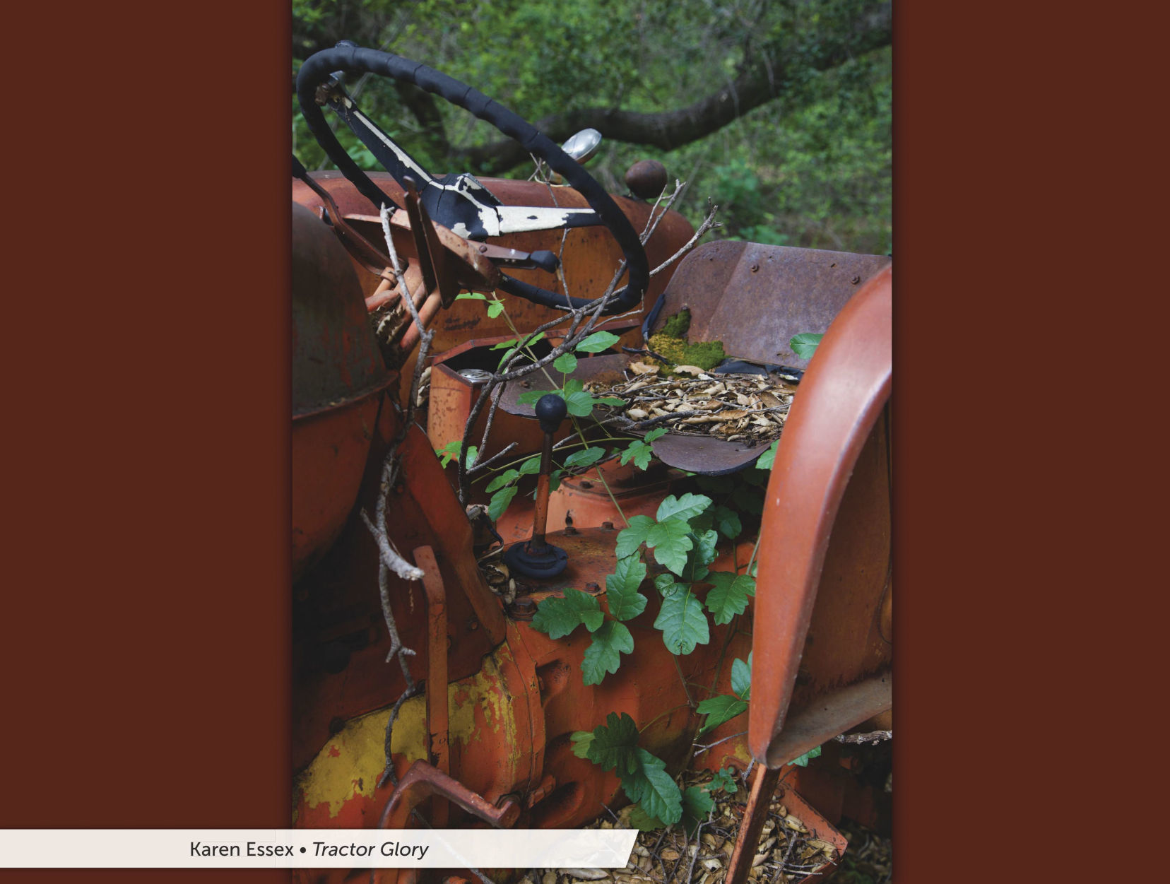 2020 SBC Farm Bureau calendar 05.jpg